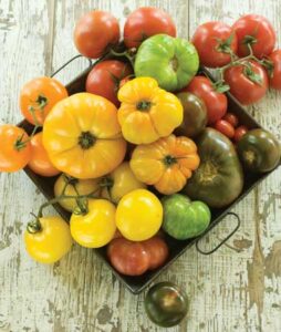 4 Health Benefits of Tomatoes Image